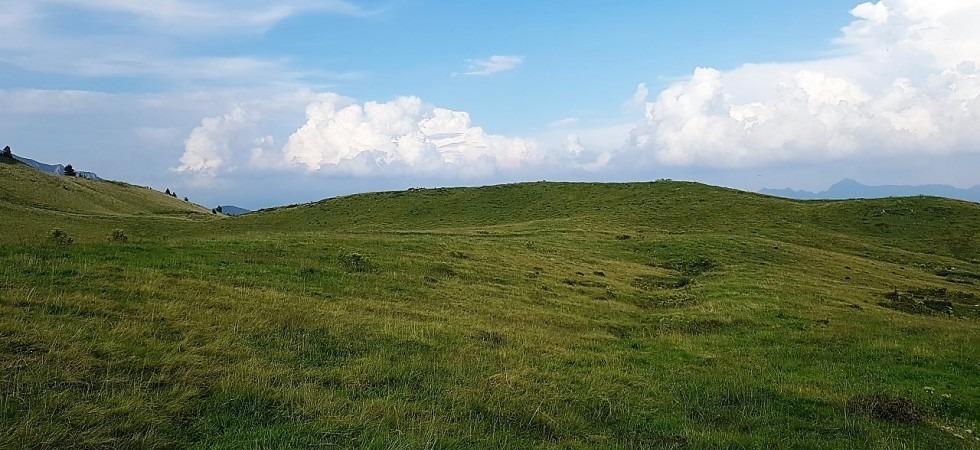 Caldo? In Trentino c'è anche un prato che produce freddo''
